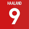 Red canvas wall art featuring the name HAALAND and the number 9 in white text.