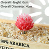 A vibrant pink and red artificial succulent bonsai ball is displayed in a wooden box with gravel.