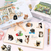 A set of funny cat meme cartoon decals for laptops and bottles displayed on a notebook and packaging.
