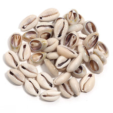 A pile of natural sea snail shell beads in various sizes and shades for DIY jewelry making
