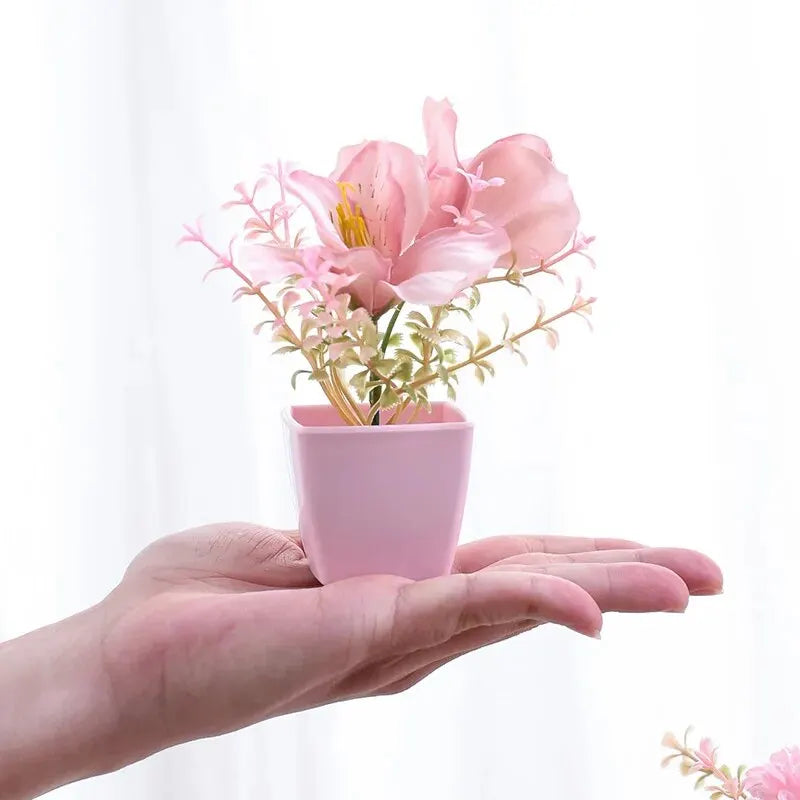 Eine Hand hält eine rosa Topfpflanze mit rosa und gelben Blüten vor weißem Hintergrund.
