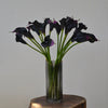 A bouquet of dark purple and black EVA artificial calla lily stems in a glass vase.