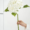 A white hydrangea silk flower branch with green leaves is shown being held, measuring 19cm in height.
