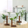 A glass hydroponic terrarium vase with a wooden stand sits on a table next to a stack of books.