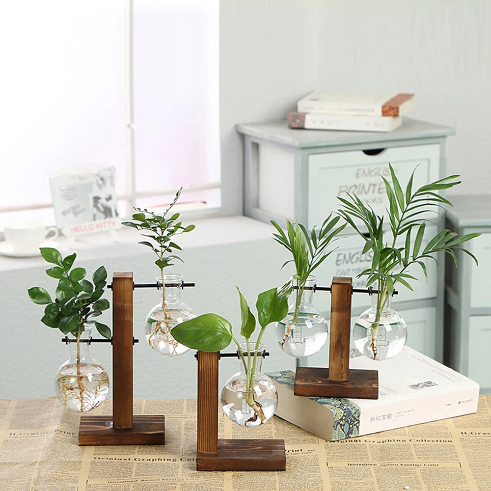 A glass hydroponic terrarium vase with a wooden stand sits on a table next to a stack of books.