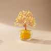 A natural crystal money tree ornament featuring golden yellow crystals on a thin wooden branch set in a clear glass base.