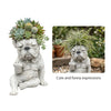 Statue en résine grise d'un bouledogue français avec des succulentes et de la verdure poussant de sa tête.