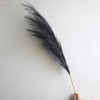A long, black artificial pampas grass feather stem against a white background.