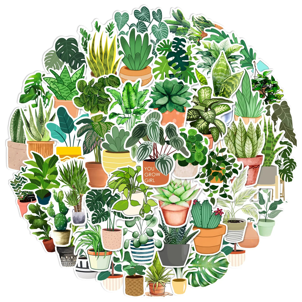 A circular arrangement of various potted green plants and succulents.