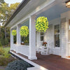 A hanging basket of bright yellow artificial morning glory flowers displayed on a porch railing.