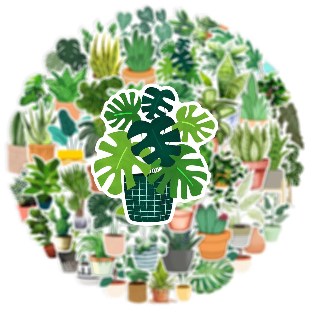 A circular arrangement of various potted succulent plants and greenery.