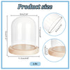 A clear glass dome cloche with a wooden base shown in various dimensions and angles.