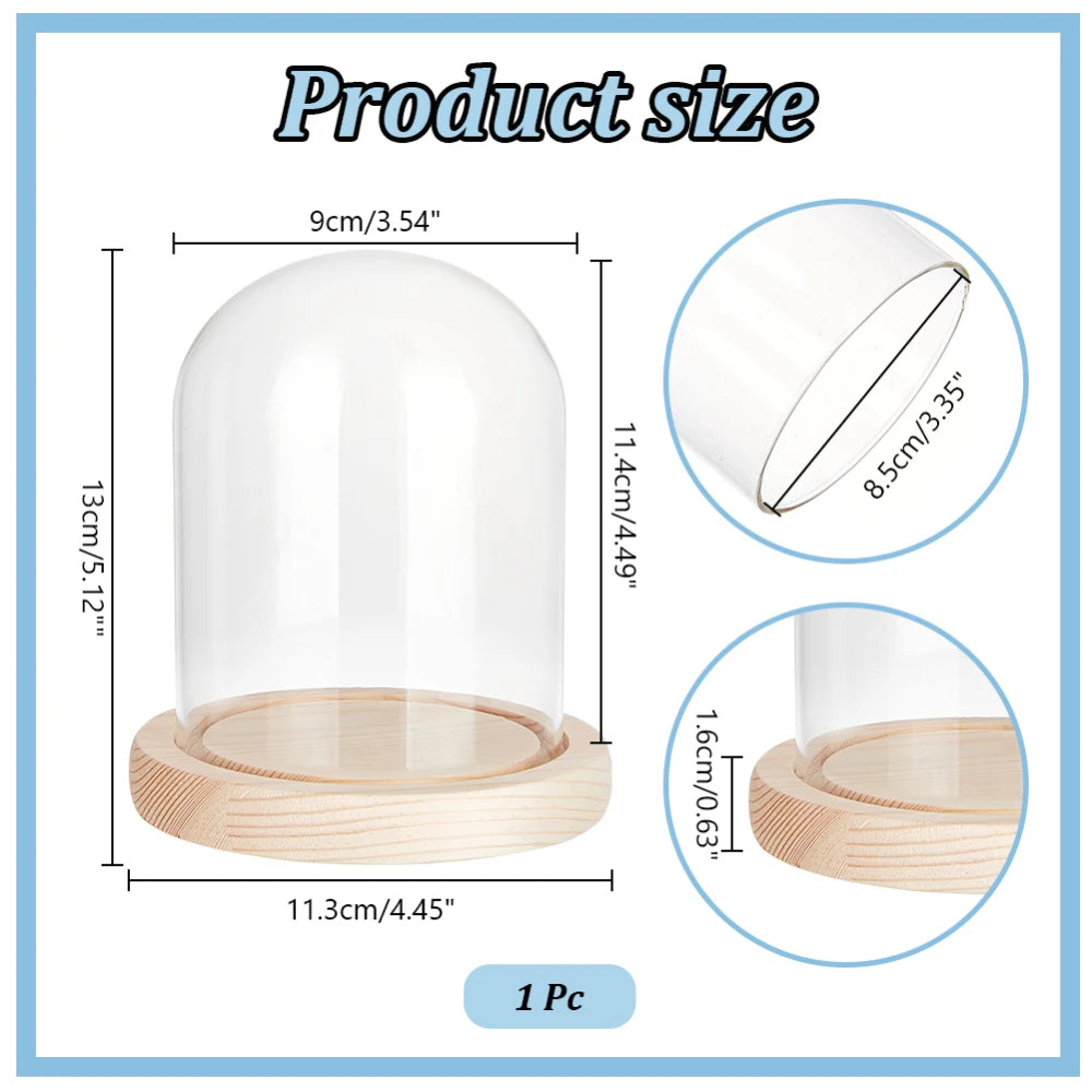 A clear glass dome cloche with a wooden base shown in various dimensions and angles.