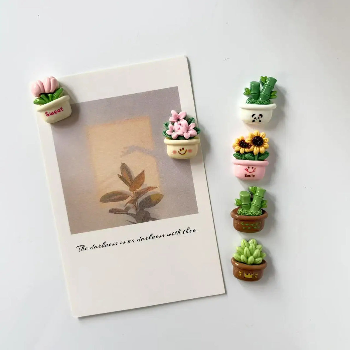 A set of three small potted succulents and flowers displayed on a card for desktop or kitchen decor.