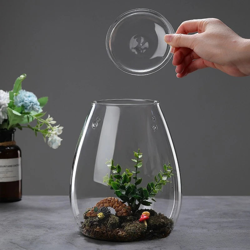 A hand holds a glass lid above a clear glass vase containing moss and succulents.