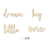 Dream Big Little One Wooden Wall Sign for Kids' Rooms