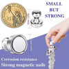 A set of small, strong magnetic nails and pushpins with a coin design for corrosion resistance