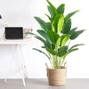 Artificial tropical palm tree with large green monstera leaves potted in a woven basket