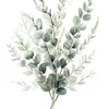 Watercolor illustration of bohemian sage green botanical leaves and sprigs.