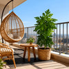 A large artificial papaya leaf plant in a woven basket sits on a wooden table on a balcony overlooking a city view.