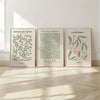 Three framed botanical prints featuring floral designs in muted green and pink tones on white backgrounds.