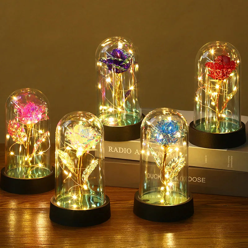 A collection of glass domes featuring preserved roses illuminated by warm LED lights.