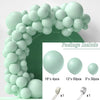 A green balloon garland arch kit featuring light mint green balloons and accessories.
