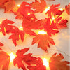Orange maple leaves are illuminated by a string of warm LED lights.