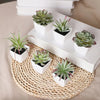 A set of mini artificial succulent decorations in green and pink potted in white rectangular containers on a woven mat.