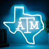 Football Neon Sign LED Wall Light for Fan Rooms and Bars