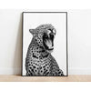 Black and white photograph of a leopard roaring with its mouth wide open