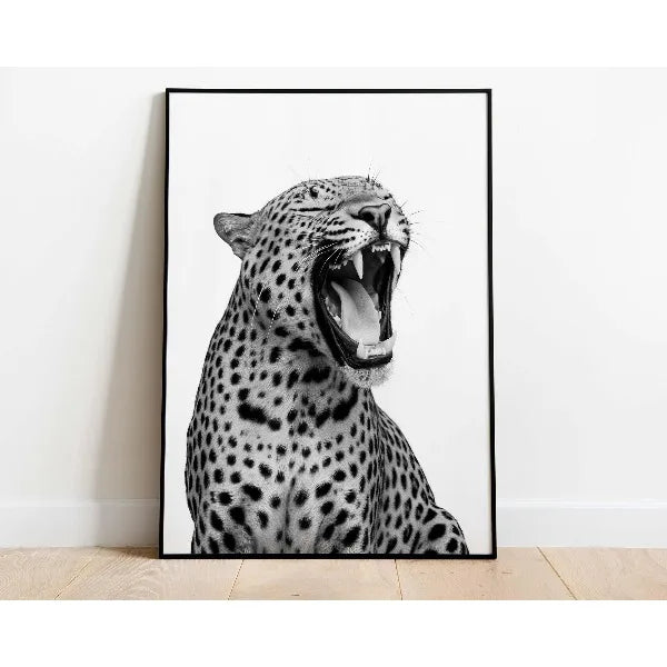 Black and white photograph of a leopard roaring with its mouth wide open