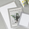A set of three silver-framed picture frames displaying nature and floral imagery on a gray background.