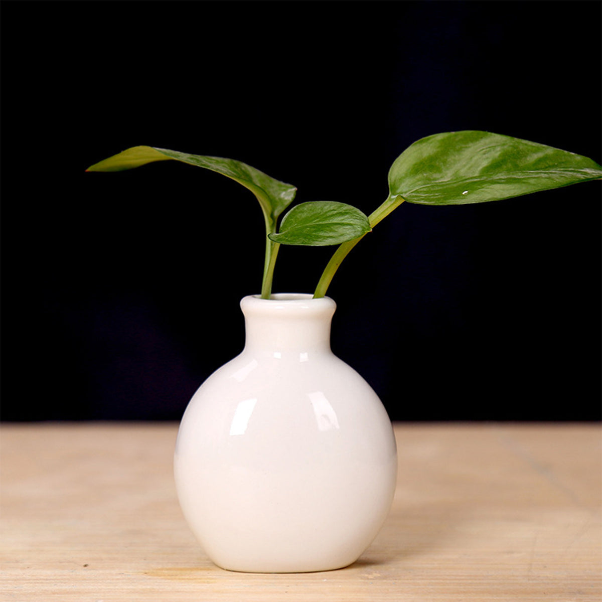 Handcrafted Ceramic Mini Vase for Desk & Tabletop Decor