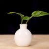 Handcrafted Ceramic Mini Vase for Desk & Tabletop Decor
