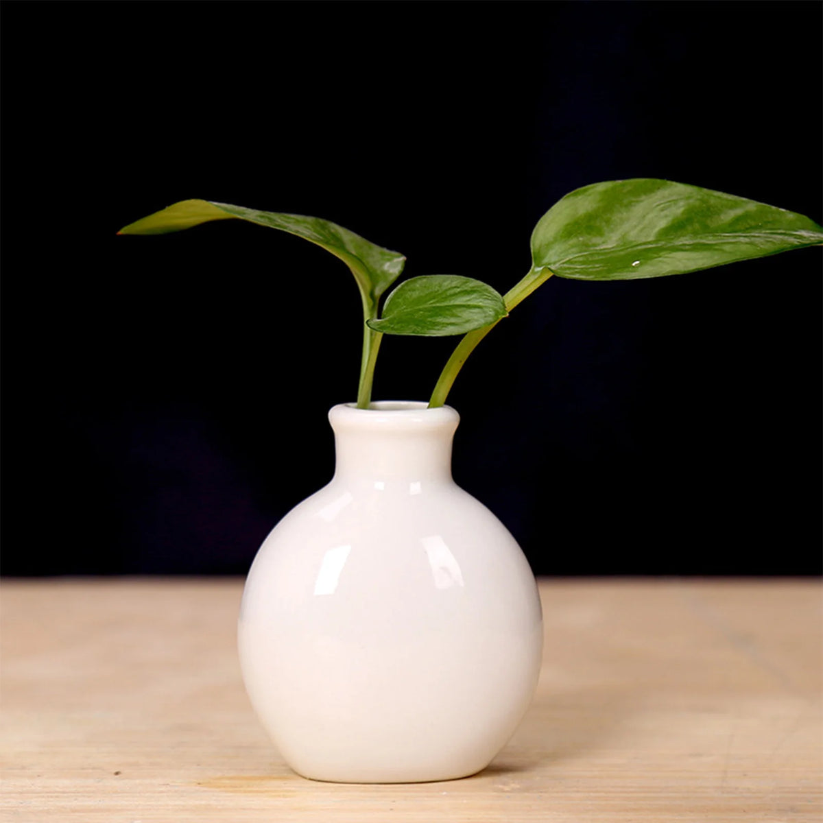 Handcrafted Ceramic Mini Vase for Desk & Tabletop Decor