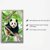 A set of magnetic picture frames for wall display with self-adhesive backing and anti-glare PVC covers.