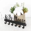 A black wall-mounted metal key holder with hooks is displayed next to a potted succulent plant.