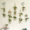 A collection of decorative glass terrariums hanging on a white wall, featuring various green indoor plants and blue birds.