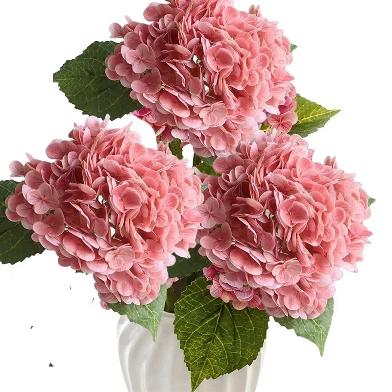A cluster of large pink hydrangea flowers with lush green leaves.