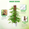 A potted plant with a moss pole support, showing its attachable and connectable features.