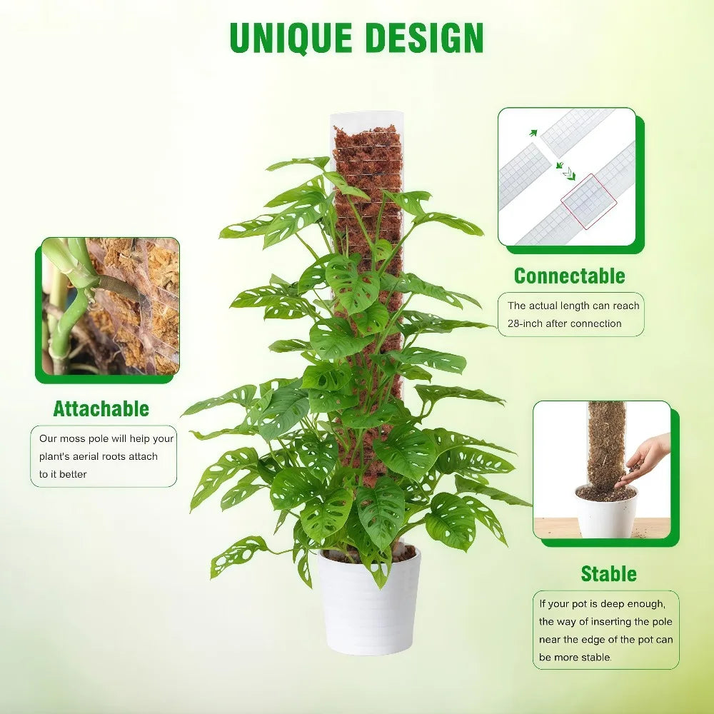 A potted plant with a moss pole support, showing its attachable and connectable features.