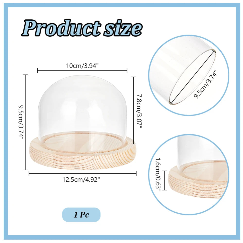 A clear glass dome cloche with a wooden base shown in various dimensions and angles.