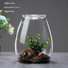 A clear glass vase with a wide mouth is filled with moss and small green plants on a dark surface.