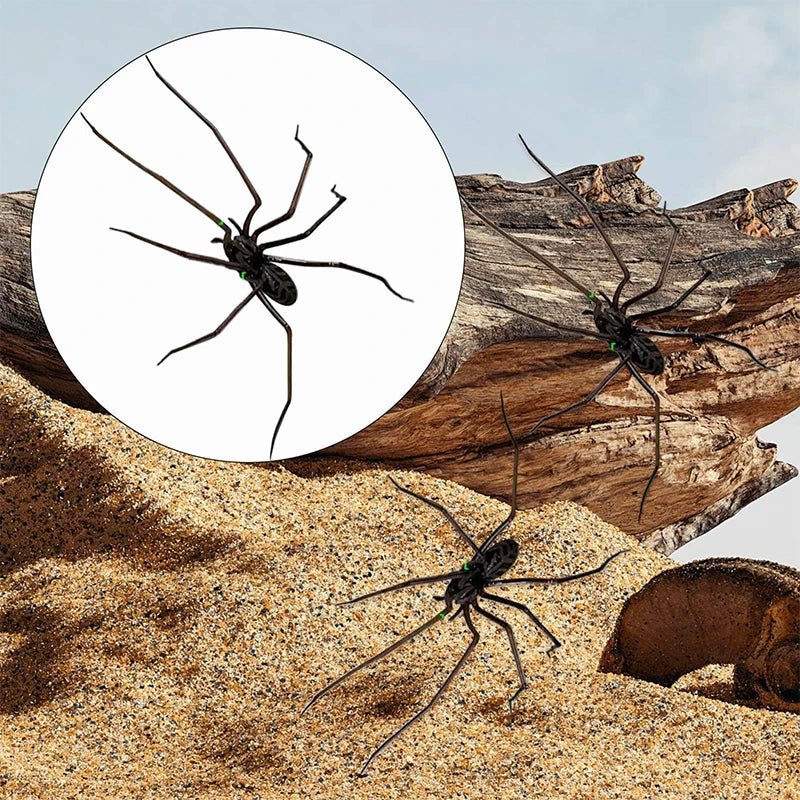 A set of realistic spider fridge magnets featuring dark, spindly spiders on a sandy background.