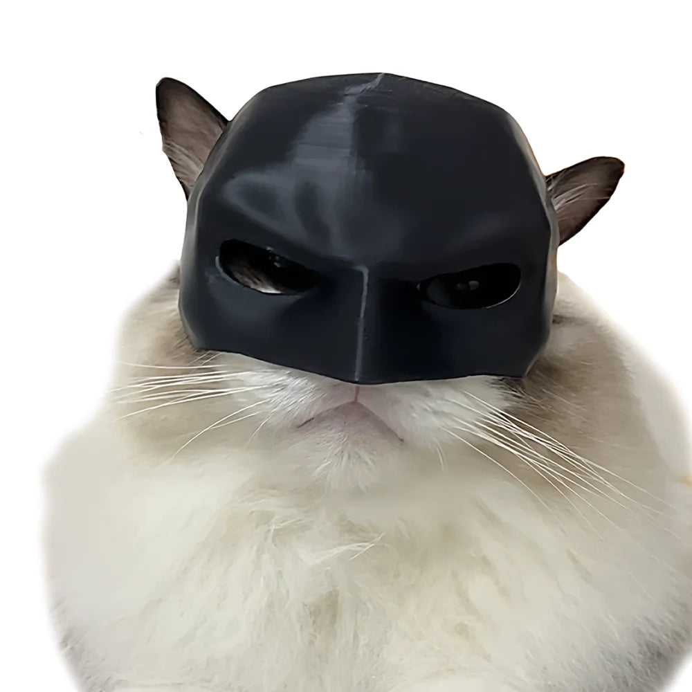 A black bat cat mask is placed on the face of a white, fluffy cat.