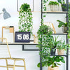 A display of artificial hanging plants in various pots and greenery against a white wall.