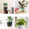 A collection of five self-watering flower pots for indoor plants displayed in various modern settings.