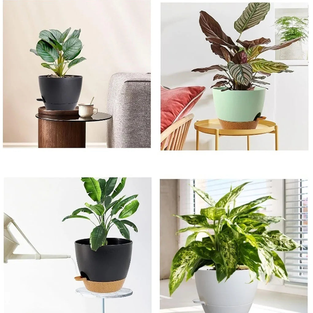 A collection of five self-watering flower pots for indoor plants displayed in various modern settings.