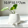 A white 3D printed smiley face succulent planter with green leaves on a light surface.